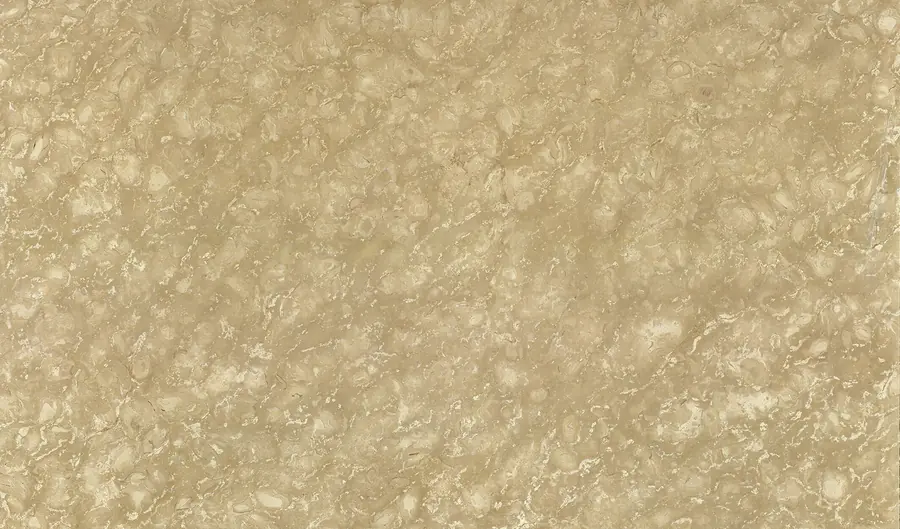 Мрамор Shells Reef Beige