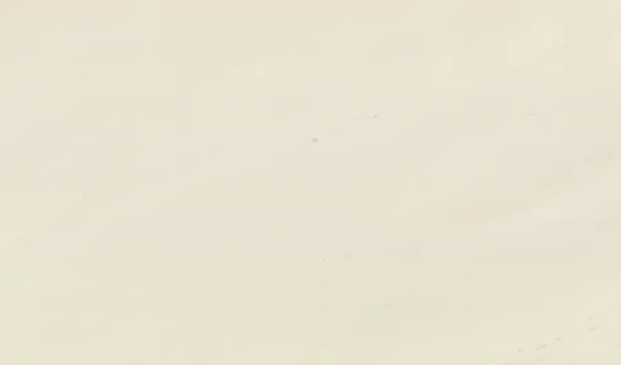 Мрамор Sivec White