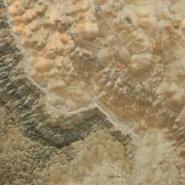 Оникс Onice Landscape