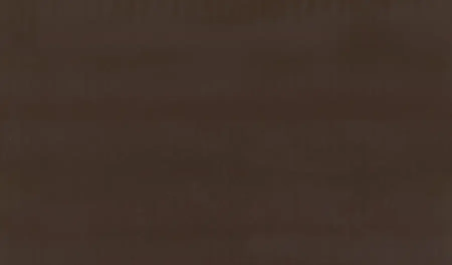Кварцит Absolute Brown